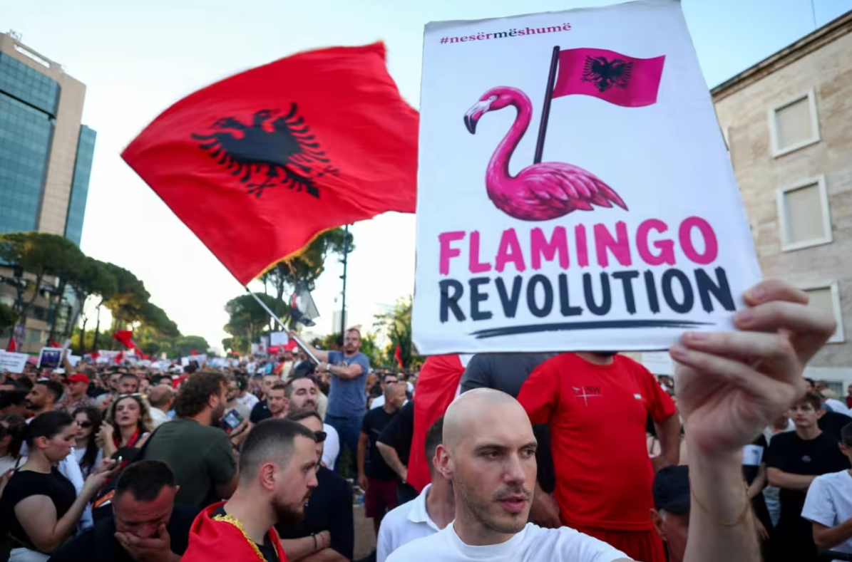 The 10 Reasons the Flamingo Revolution Died Out